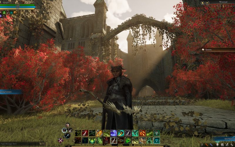 Vedeni ashes of creation odeslo na protest tvurce vini preds 1769972499673