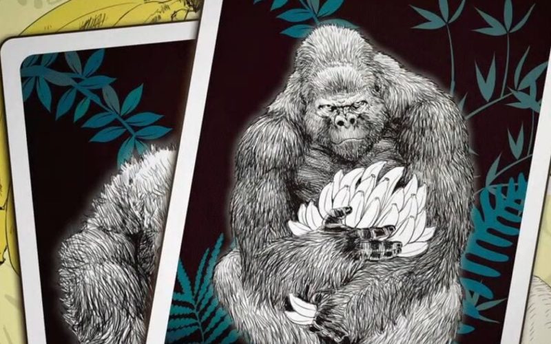 Slavne herni studio vyrabi hru s kartami o preziti s gorilam 1772654459688